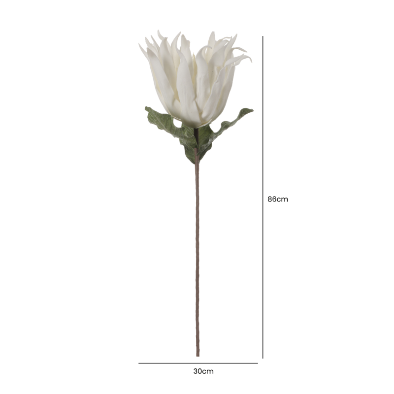 White Foam Protea Single Stem