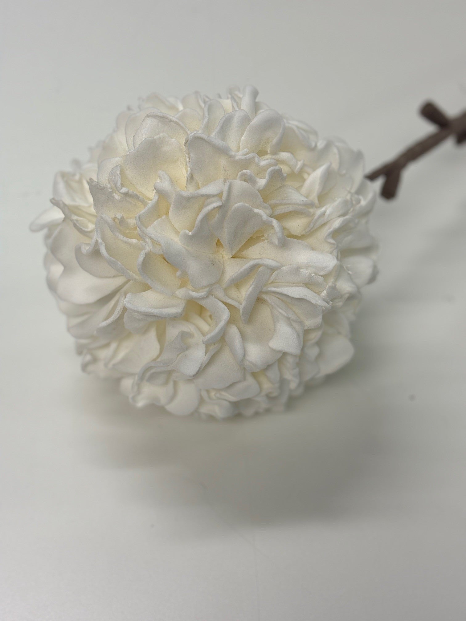 White Foam Carnation Flower Stem